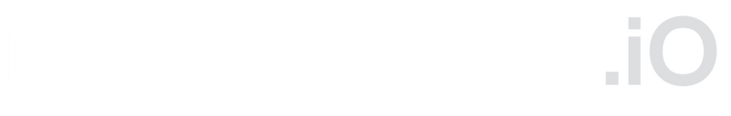 Digital Age Leader horizontal logo.
